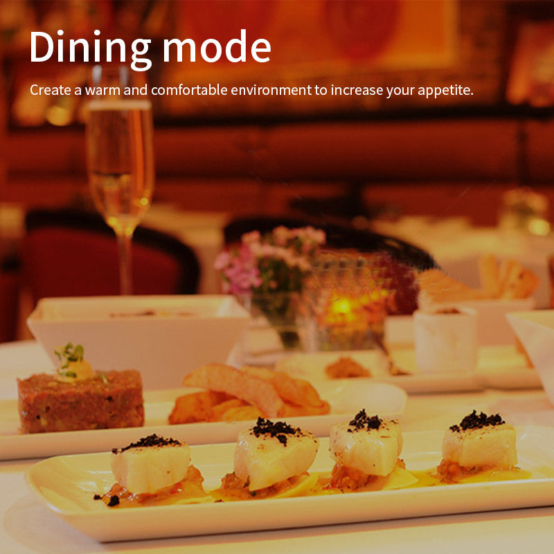 Smart Light Bulb Dual Light Color Wifi Smart LED Bulb SN66