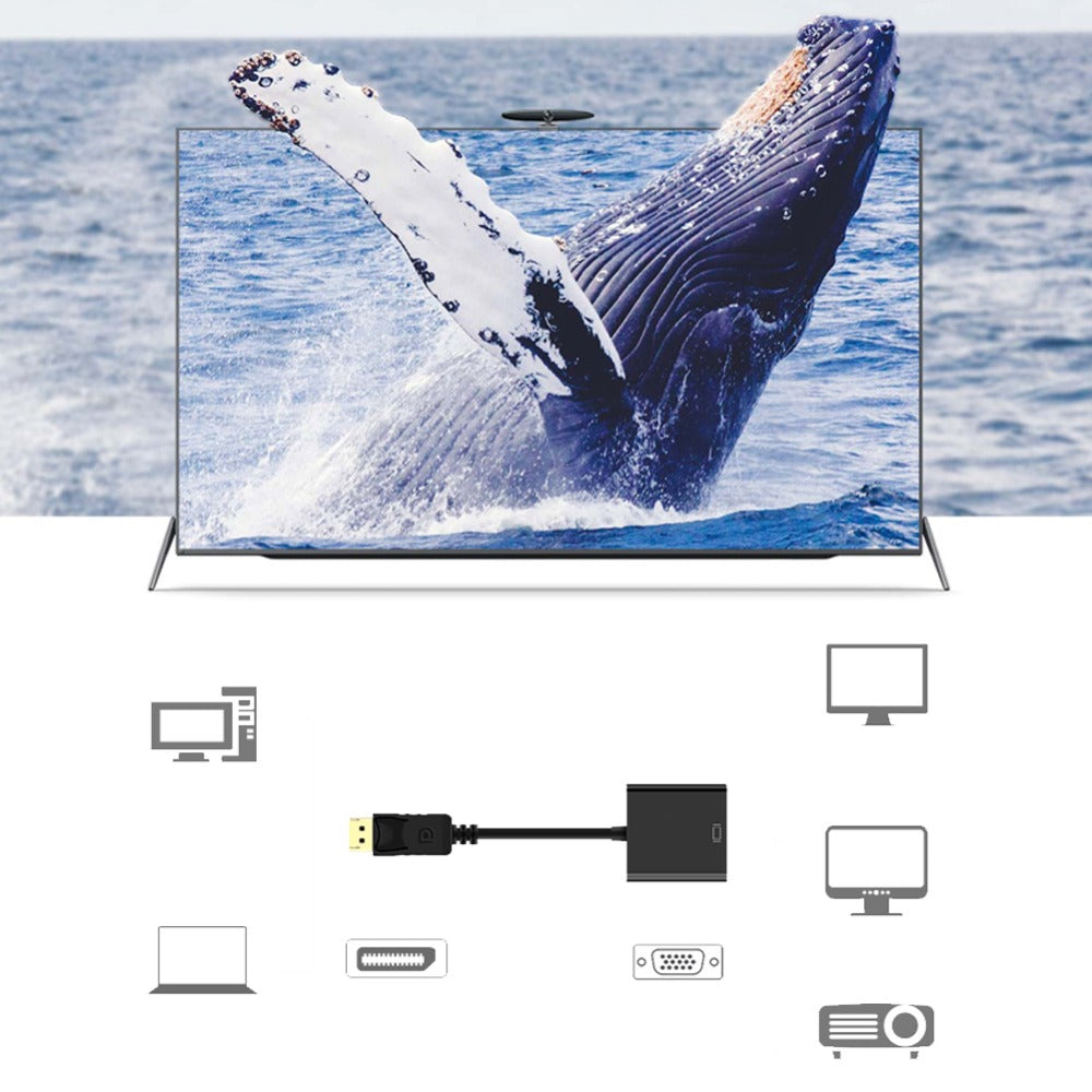 DisplayPort Male to DVI Female Adapter HD Converter (Big Shell)
