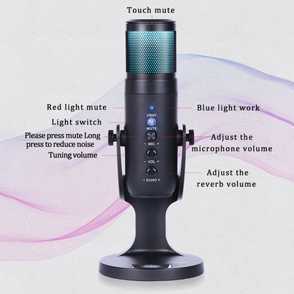 DLDZ JD-950 Gaming Live Streaming Condenser Microphone with RGB Dynamic Light 360&#176; Rotatable Type-C Mic for Windows Desktop PC Laptop