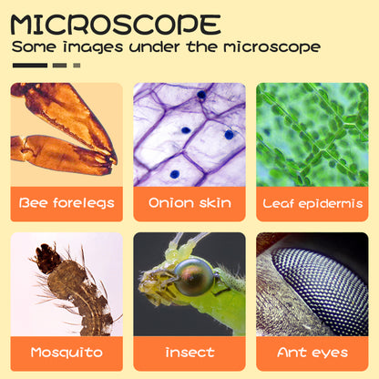 DDL-M1 50X-1000X Kids Students LED WiFi Microscope with Optical Glass Lens for School Lab Education