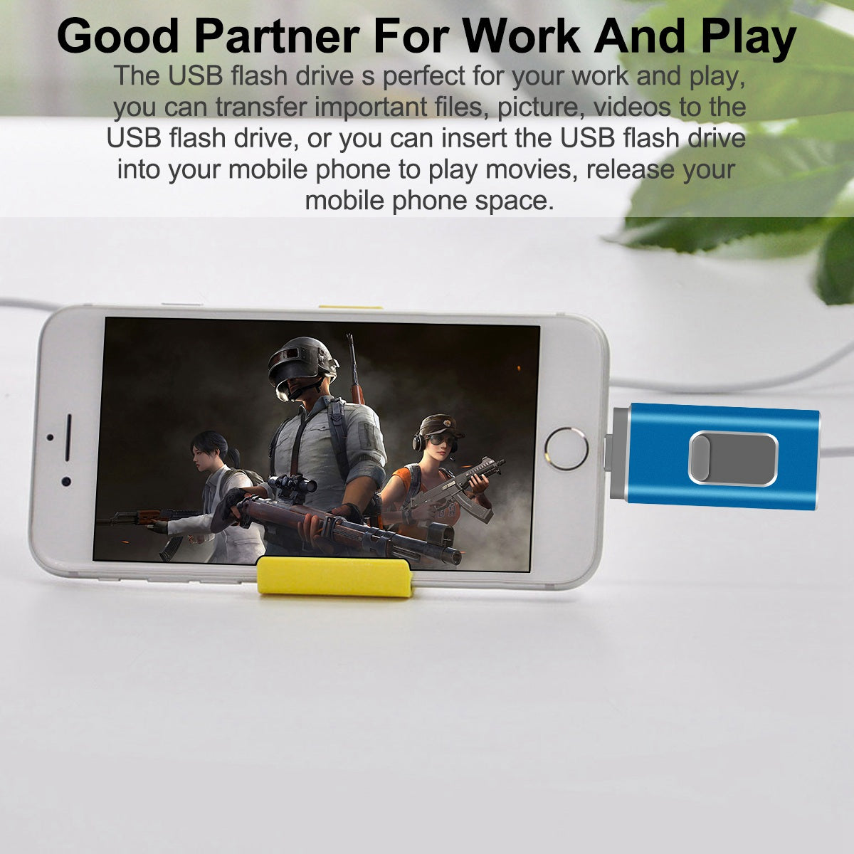 RICHWELL R-01B 256GB USB 3.0 Flash Drive USB Memory Stick External Storage Thumb Drive Photo Stick for iPhone Android PC