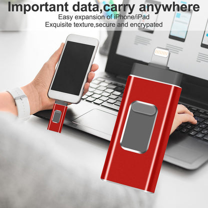 RICHWELL R-01B 256GB USB 3.0 Flash Drive USB Memory Stick External Storage Thumb Drive Photo Stick for iPhone Android PC