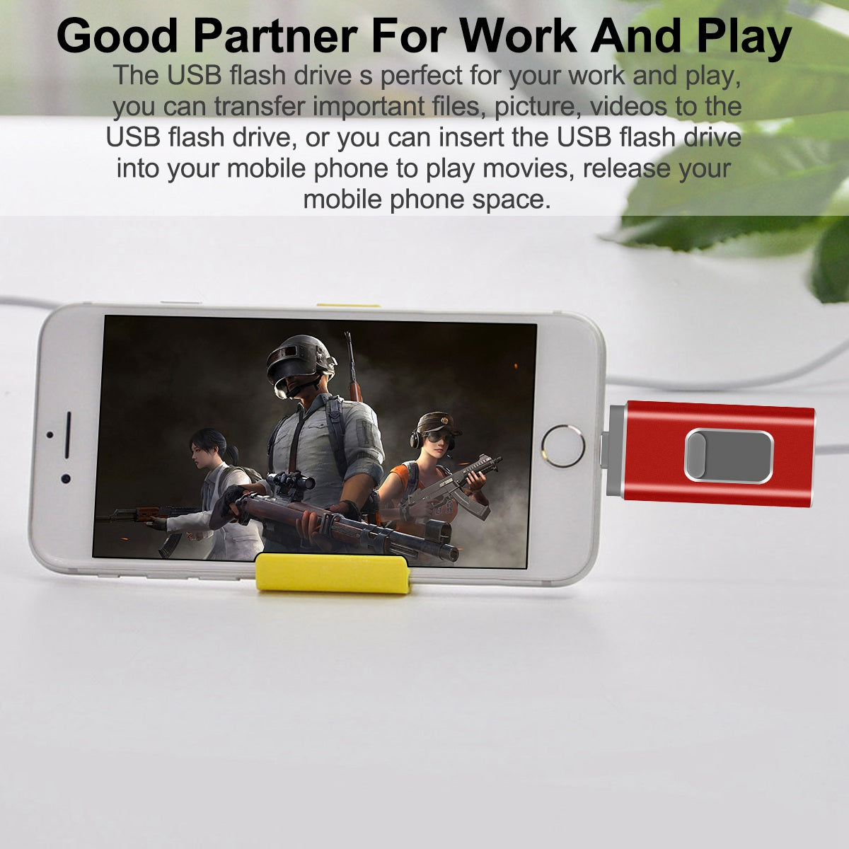 RICHWELL R-01B 256GB USB 3.0 Flash Drive USB Memory Stick External Storage Thumb Drive Photo Stick for iPhone Android PC