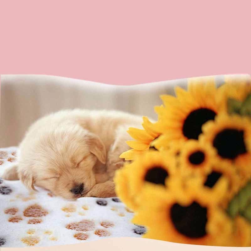 Puppy Blanket Pet Cushion Small Dog Cat Bed Soft Warm Sleep Mat S Size