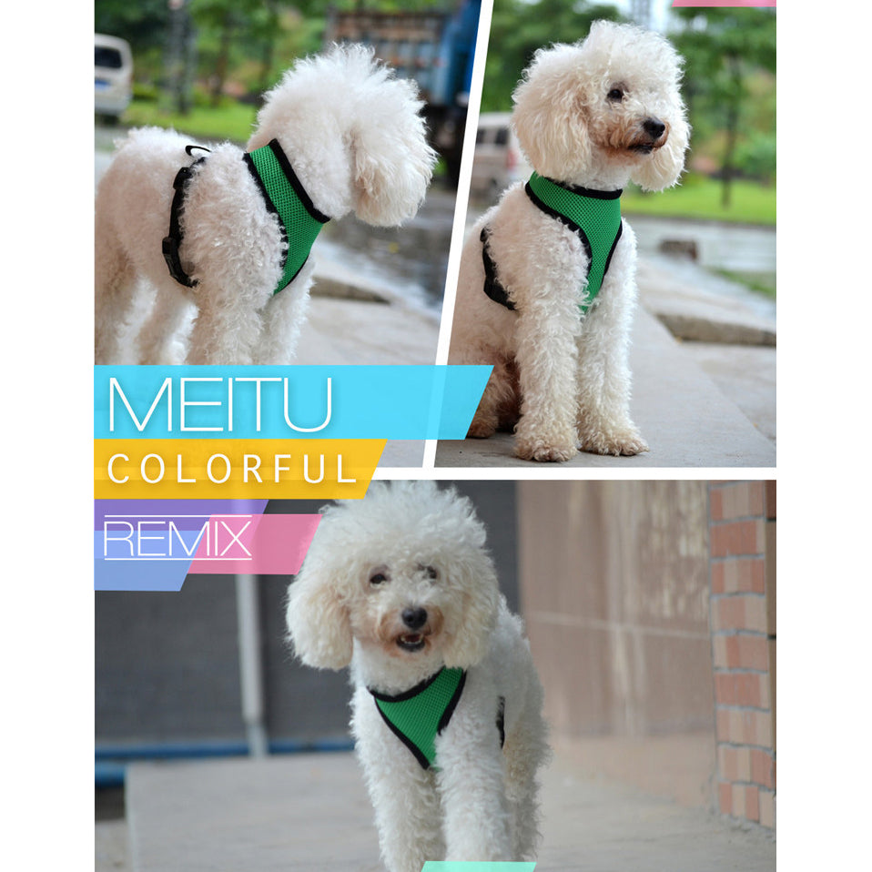 Dog Harness Pet Breast Safety Mesh Belt Strap