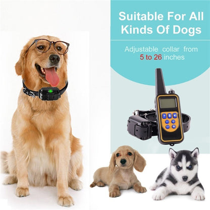 Home Indoor Dog Anti-barking Training Collar