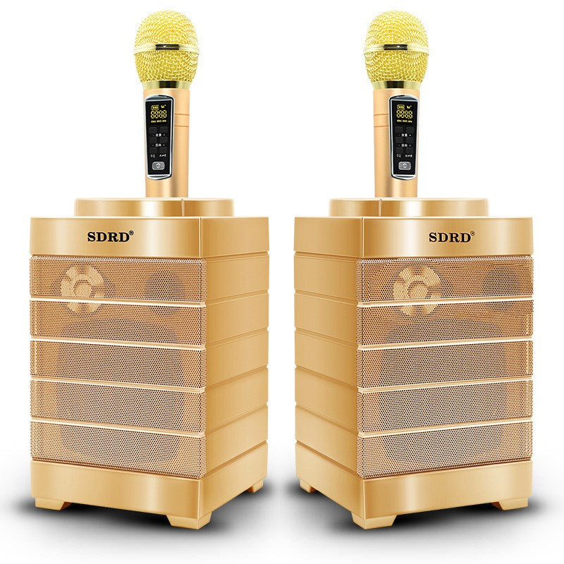 Handheld Wireless Bluetooth Karaoke Microphone Speaker KTV Singing Mic