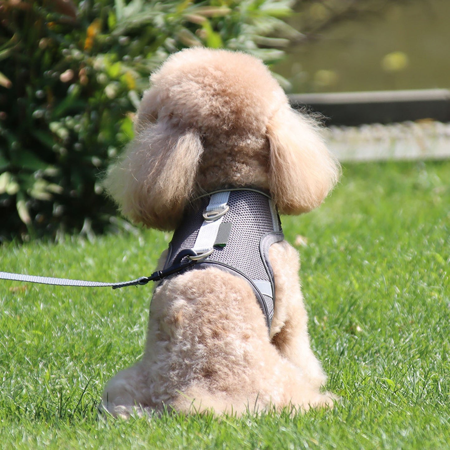 Dog Harness Dog Leash Reflective and Padded Harness with Handle for Small Medium Large Dogs Cats Rabbits