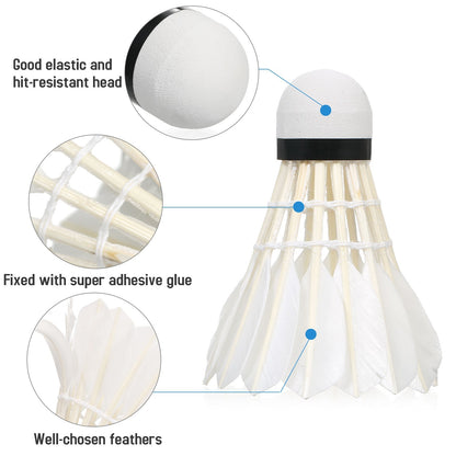 12Pcs Sports Shuttlecocks High Speed Badminton Birdies Training Badminton Balls for Youth Players Exercise Gym Fitness Game