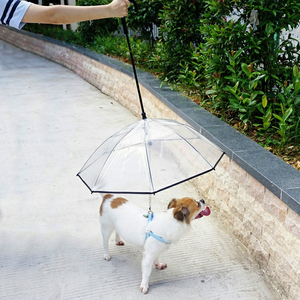 Pet Umbrella Transparent Folding Dog Umbrella with Leash Rainproof Snowproof Pet Dog Supply