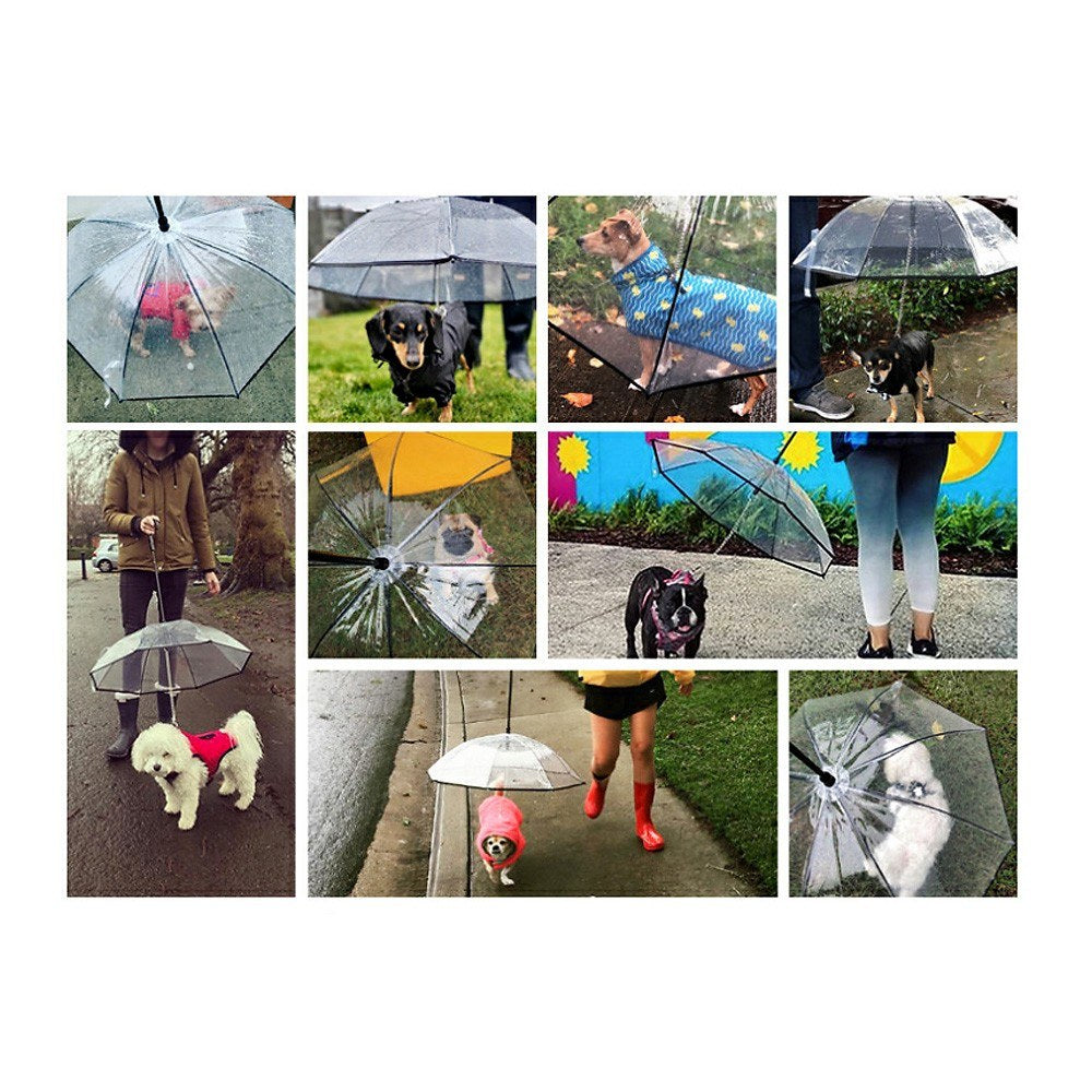 Pet Umbrella Transparent Folding Dog Umbrella with Leash Rainproof Snowproof Pet Dog Supply