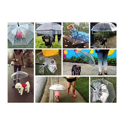 Pet Umbrella Transparent Folding Dog Umbrella with Leash Rainproof Snowproof Pet Dog Supply