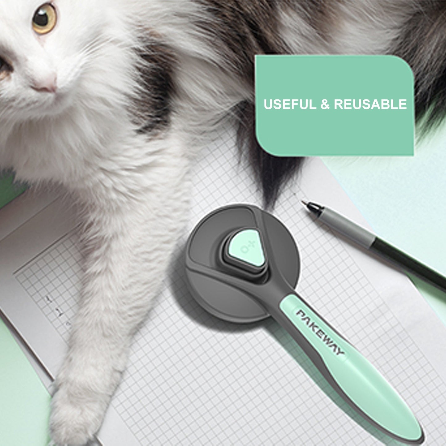 PAKEWAY Cat Brush Self Cleaning Slicker Brush Dog Pet Pumpkin Brush for Shedding and Grooming